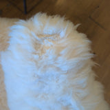 RH White Sheepskin Professor's Chair ~ *AS IS*