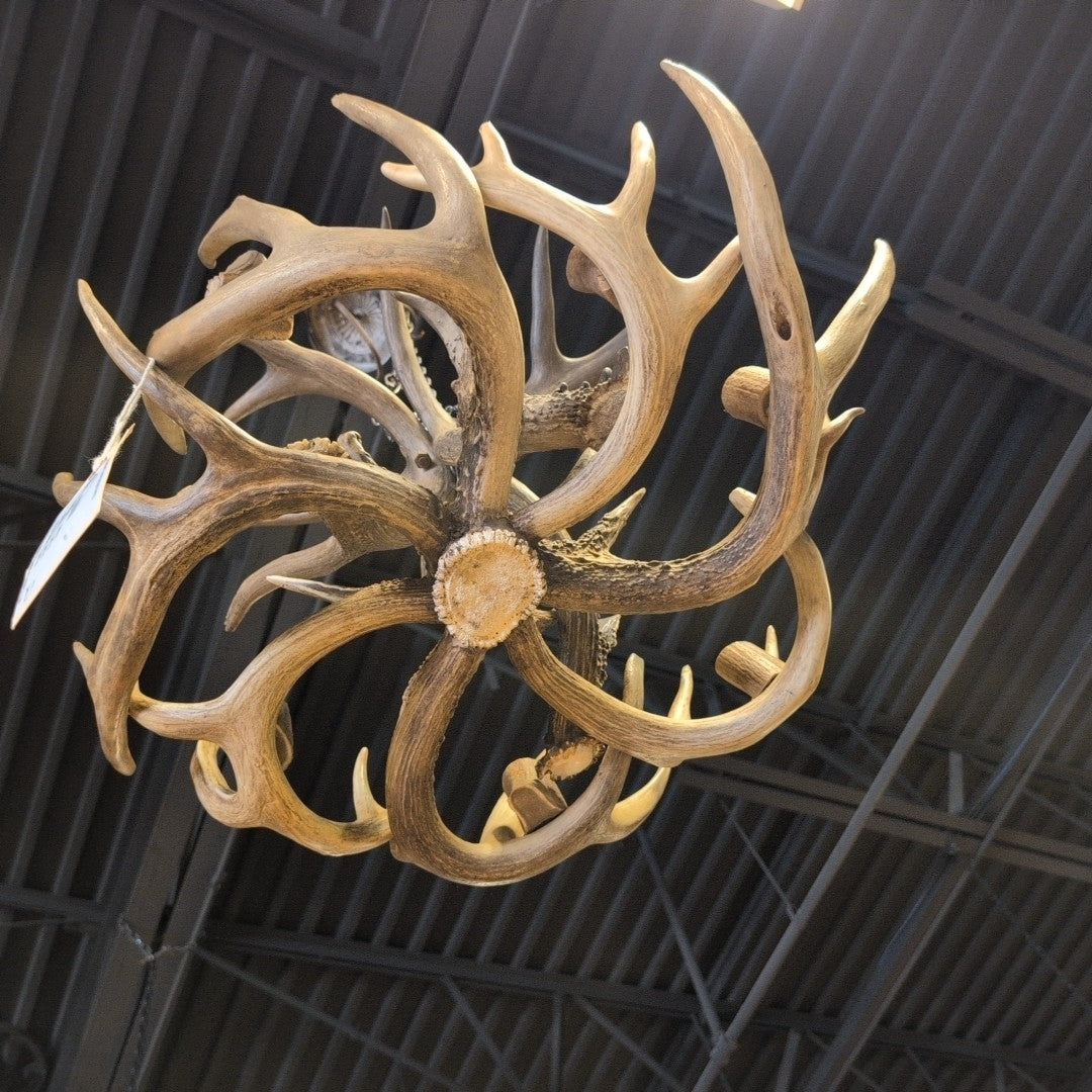 7 Light Antler Chandelier