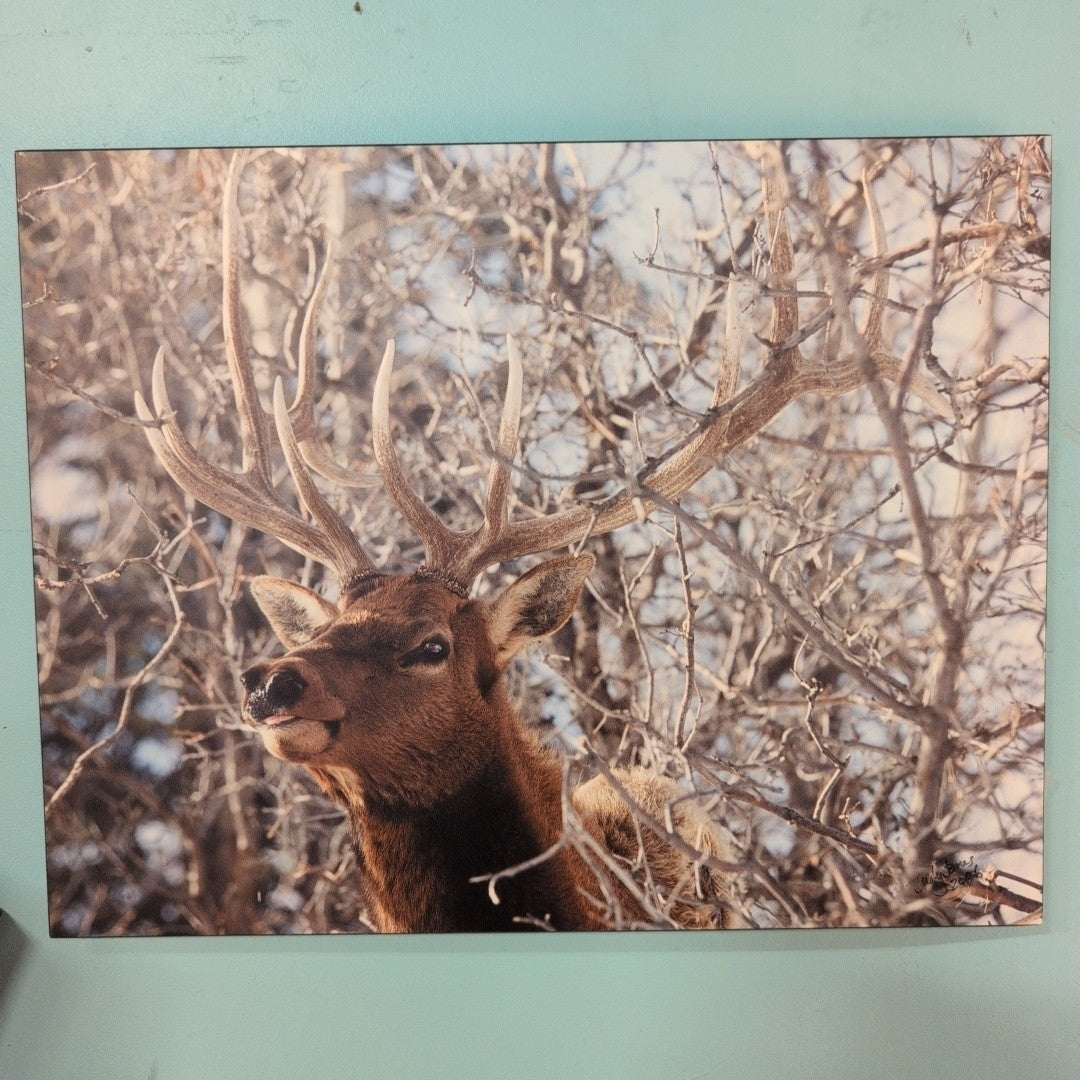 Slide image
