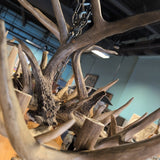 7 Light Antler Chandelier