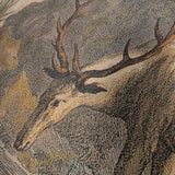 EUROPEAN ELK IN THE MOUNTAINS, EURO DECOR CANVAS TAPESTRY