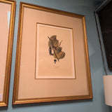 ARTWORK BIRD AUDUBON