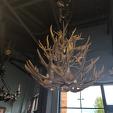 CHANDELIER DEER 12 LIGHT