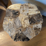 Artistica Valence Spot Petrified Wood Side Table w/Silver Antler Tripod Legs