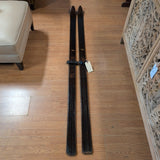 Winter Skis/Snowshoes