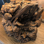 Slide image
