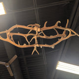 CHANDELIER ELK ANTLER