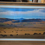 Artwork Buffalo by Rabbit Ears