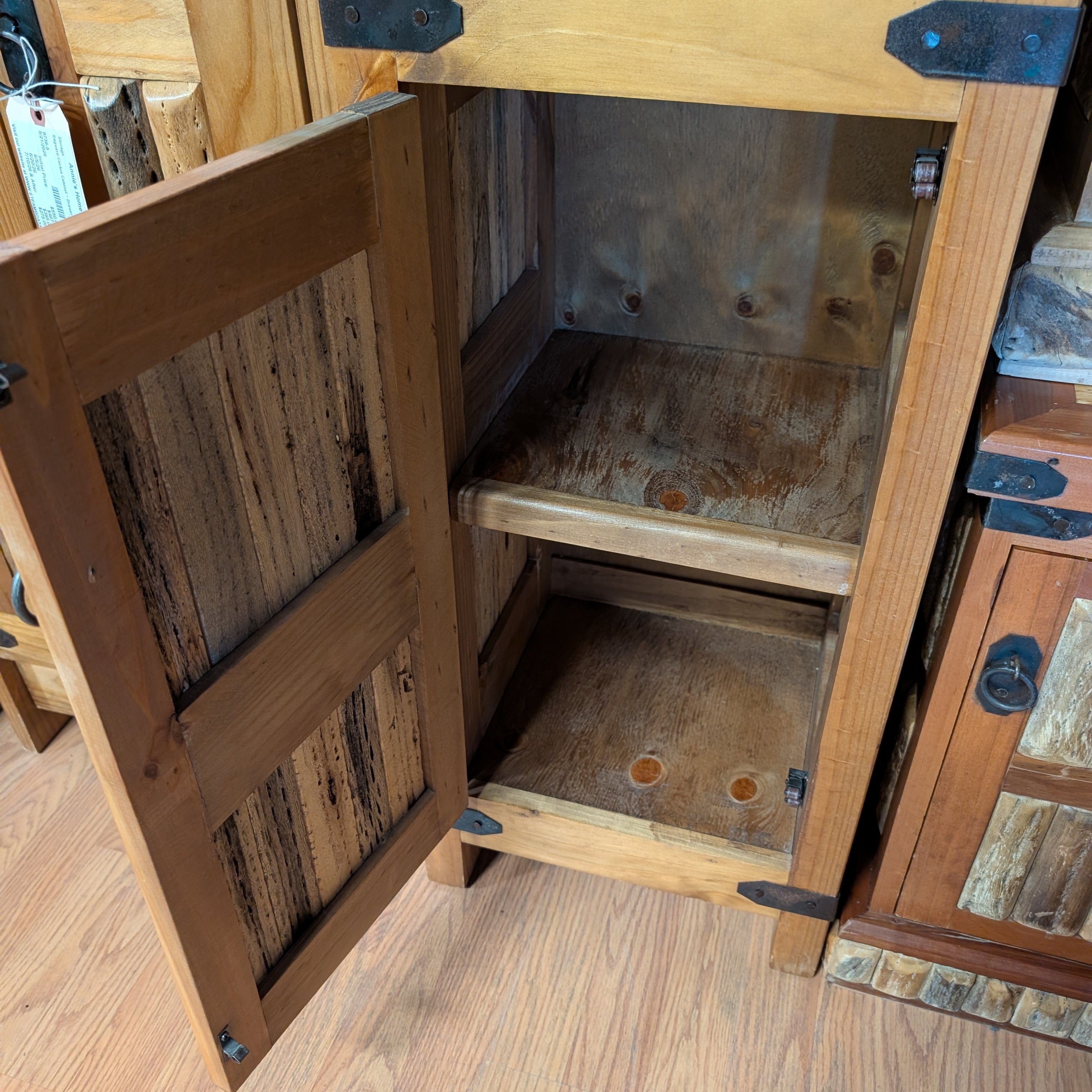 Saguaro Cactus Cabinet ~ 3 Shelf ~ 1 Door