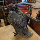 vulture